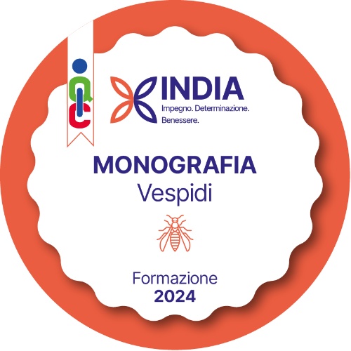 Monografia: Vespidi